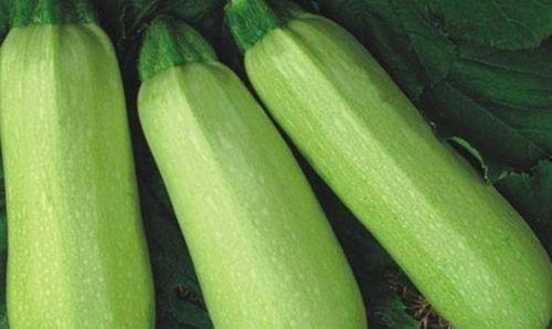 常吃茭瓜好吗,健康生活新选择