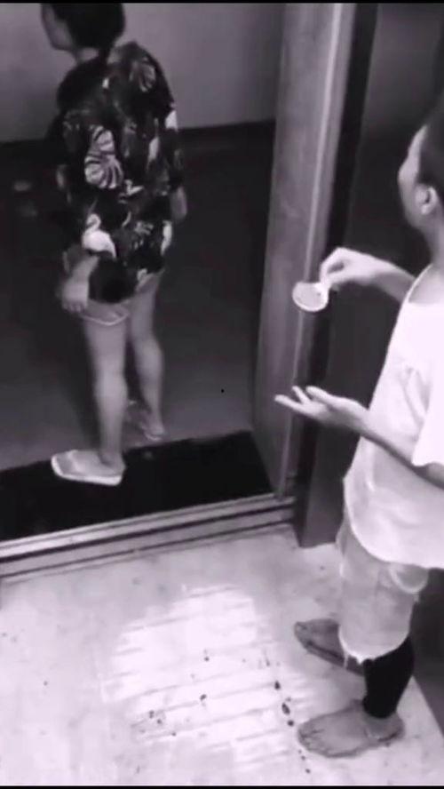 吃瓜群众买瓜了没,揭秘瓜界最新动态