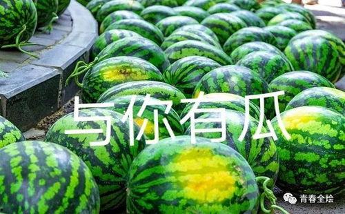 吃瓜系列,揭秘娱乐圈背后的那些事儿