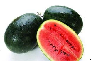 永年专业吃瓜视频