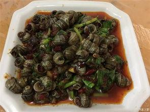 五一吃瓜最快的吃瓜,速度与激情的瓜界盛宴