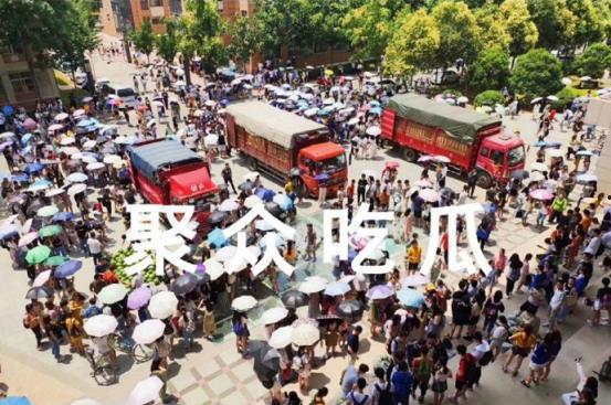 云南各大高校吃瓜,校园八卦大揭秘