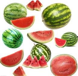 南小南吃瓜,揭秘娱乐圈那些不为人知的幕后故事