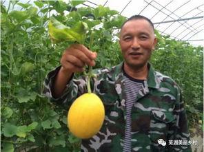 导航福利吃瓜,吃瓜群众如何轻松获取独家资讯