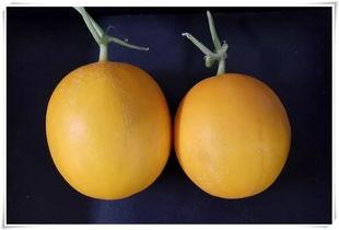 平阴同城吃瓜,揭秘本地热门事件背后的真相