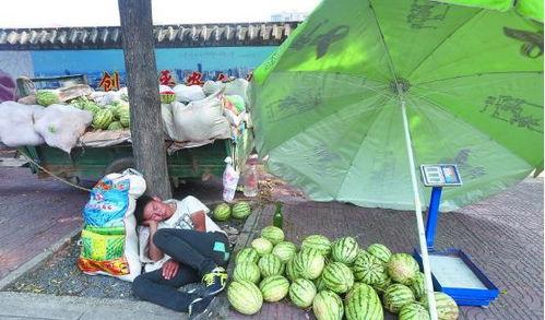 舞阳吃瓜群众,揭秘当地热点事件背后的故事