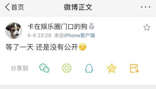 吃瓜曝光号,吃瓜曝光号背后的真相与争议