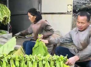 宣城大师吃瓜事件