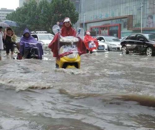 齐齐哈尔吃瓜网友事件