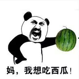 吃瓜完了